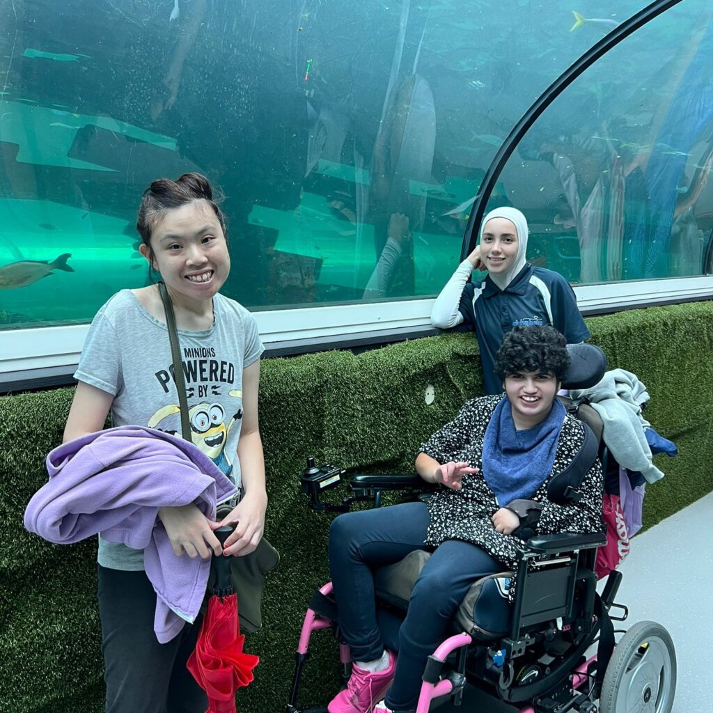 community access support NDIS Merrylands